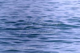 Image du Maroc Professionnelle de  Les vagues à la surface des mers (niveau zéro) sont créées par le vent, les ondulations formées sont une des représentation de la continuité de la vie qui ne connaît aucun repos. Photo prise au port de Laayoune, le 21 Septembre 2001. (Photo / Abdeljalil Bounhar) 